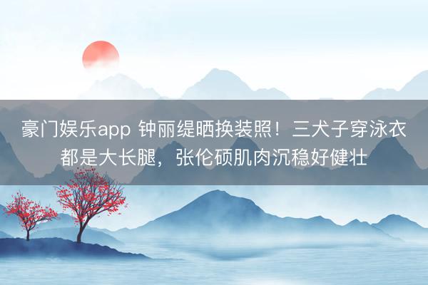 豪门娱乐app 钟丽缇晒换装照!三犬子穿泳衣都是大长腿,张伦硕肌肉沉稳好健壮