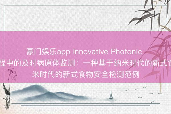 豪门娱乐app Innovative Photonic Solutions富集过程中的及时病原体监测:一种基于纳米时代的新式食物安全检测范例